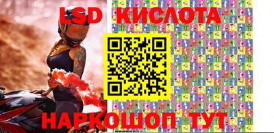 дмт Кингисепп