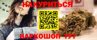 дмт Кингисепп