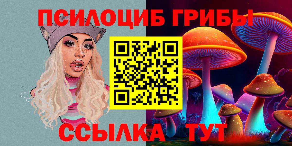 Псилоцибиновые грибы ЛСД  Псилоцибиновые грибы GOLDEN TEACHER  Вход с VPN  Кирово-Чепецк 
